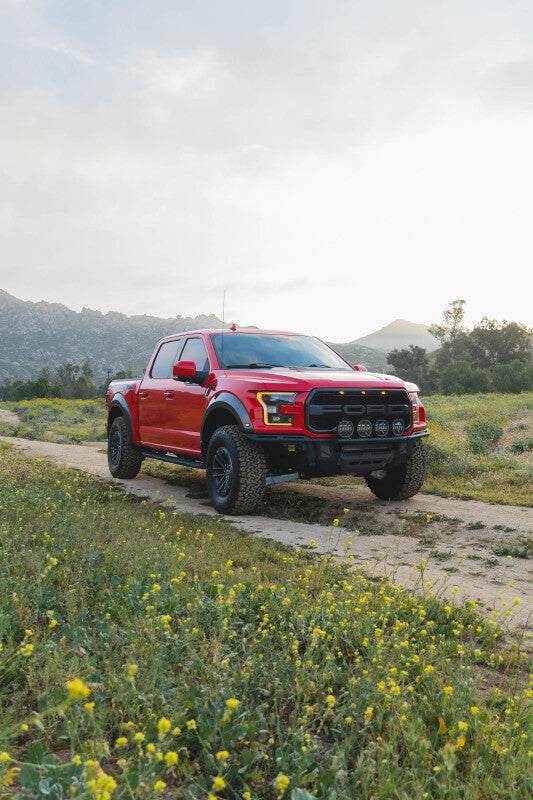 DV8 Offroad Ford 17-20 Ford F-150 Raptor Tube Front Bumper Bumpers - Steel DV8 Offroad