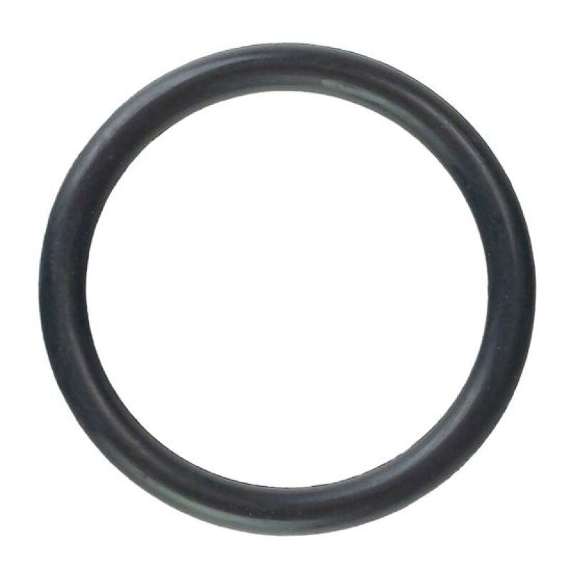 Moroso 1-3/8in 12 Thread Filler Cap O-Ring O-Rings Moroso