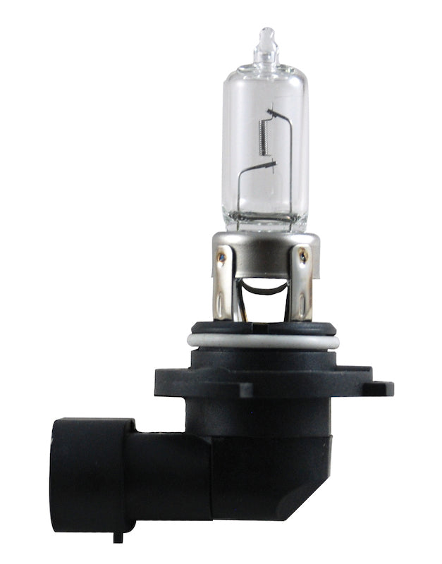 Hella Bulb 9005 12V 65W P20D T4 +50 Bulbs Hella