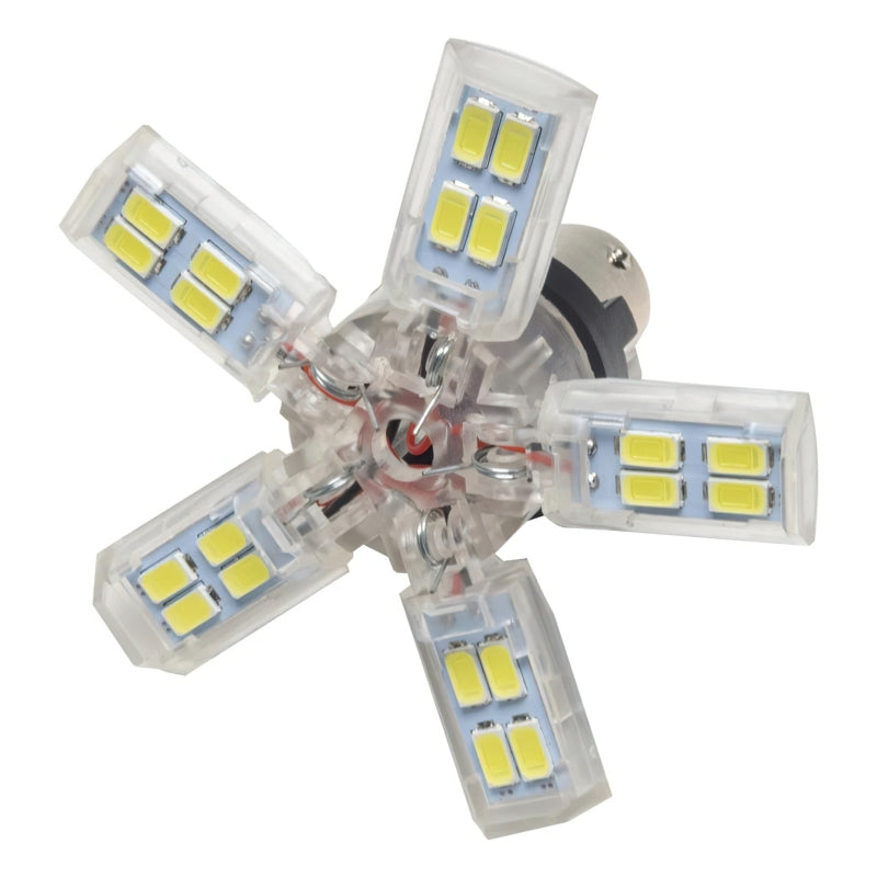 Oracle 1156 15 SMD 3 Chip Spider Bulb (Single) - Cool White Bulbs ORACLE Lighting