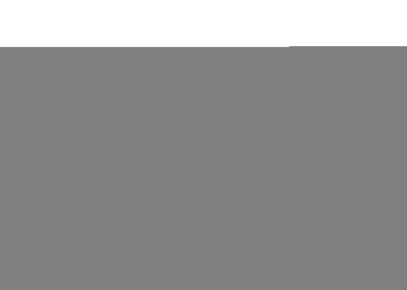 Whiteline Plus 3/08+ Dodge Challenger / 11/05+ Charger Steering Rack & Pinion Mount Bushing Kits Whiteline