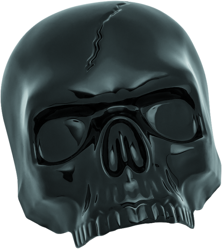 Kuryakyn Skull Horn Cover Black Horn Accessories Kuryakyn