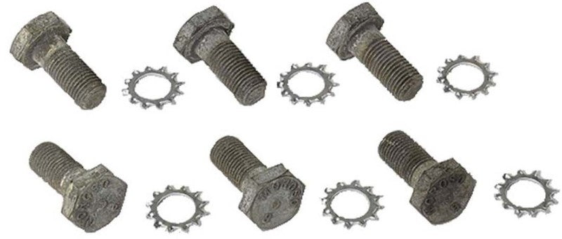 Moroso Chevrolet Big Block/Small Block/90 Degree V6 Flex Plate Bolts - Steel - 6 Pack Bolts Moroso
