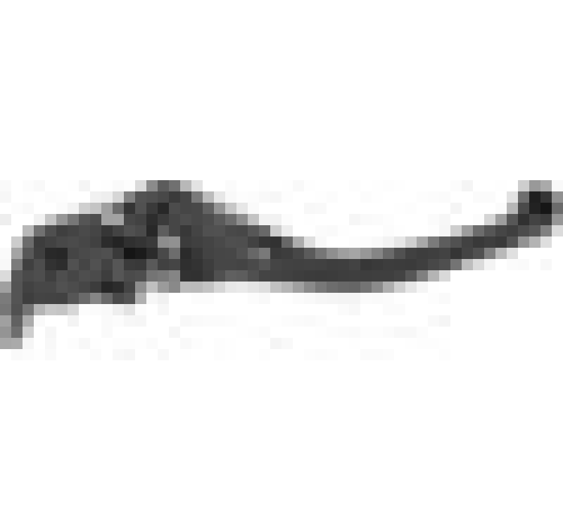 Vortex Racing H-L202 F25 Brake Lever Long- Black Levers Vortex Racing