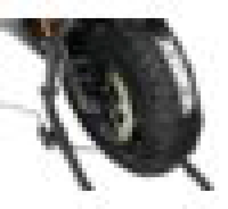 Vortex Racing Tire Warmer 180-200 Rear 120-125 Front Bike Covers Vortex Racing